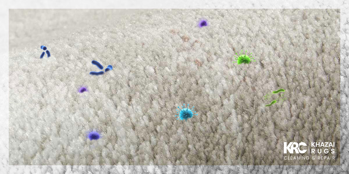 Rugs Are The Best Air Filters - Washington, D.C.