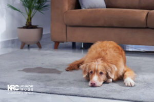|rug stain removal techniques|