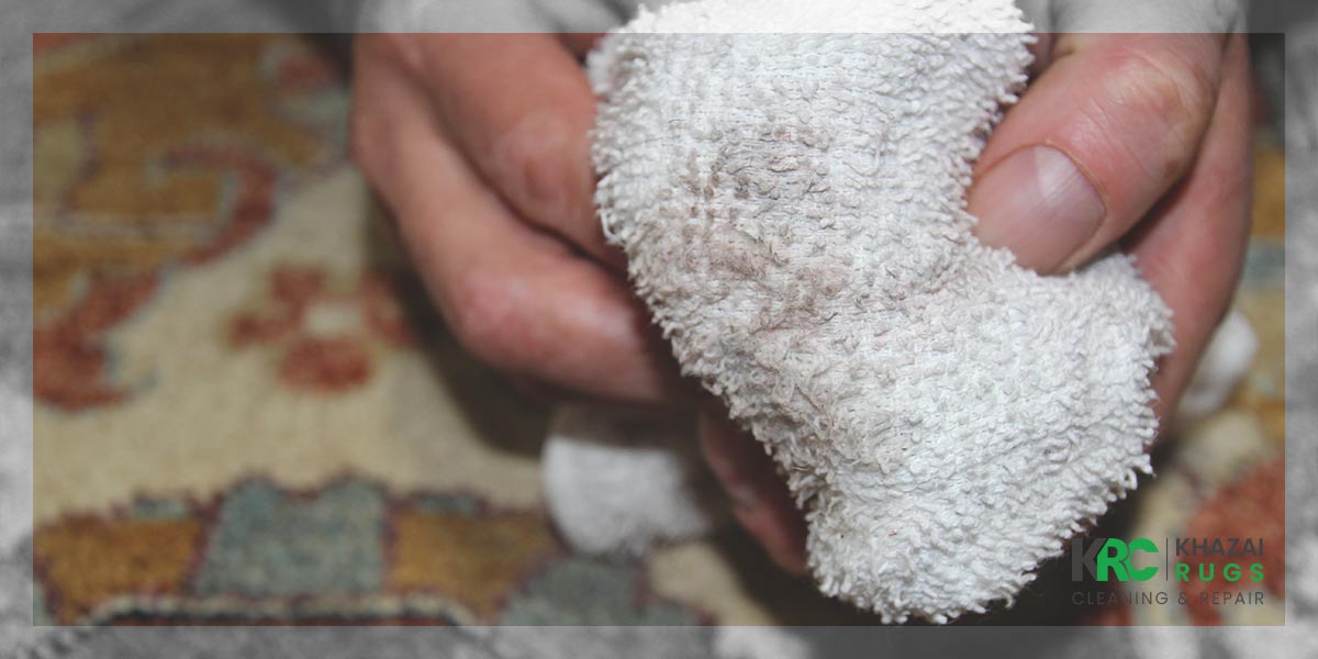How to remove pet stains from carpets?