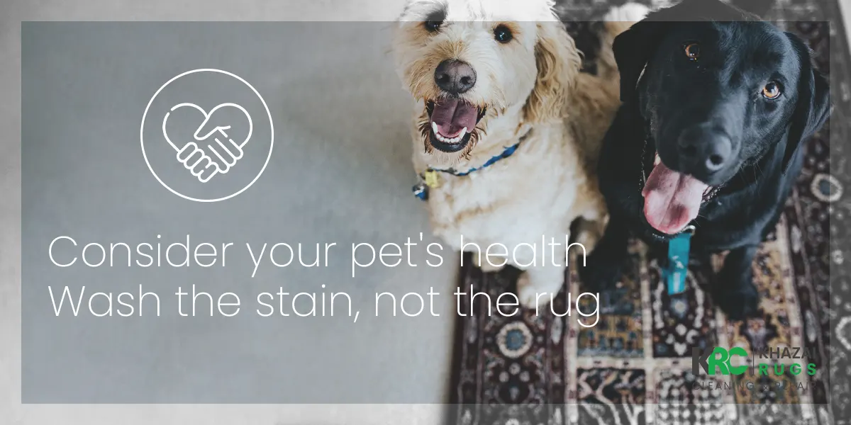 Pet Stains from Your Turkish Rug, Helpful tips on removing pet stains from your Turkish rug