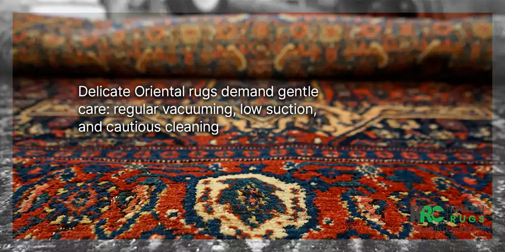 Ultimate Rug Cleaning Guide For Each Type And Material