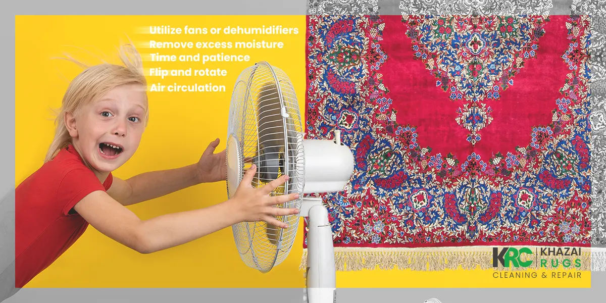 How to Dry an Area Rug After Cleaning, dry an area rug after cleaning