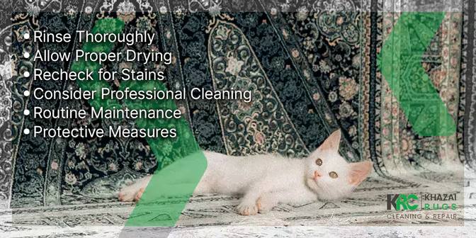 Antique Rug Pet Stain Removal Techniques