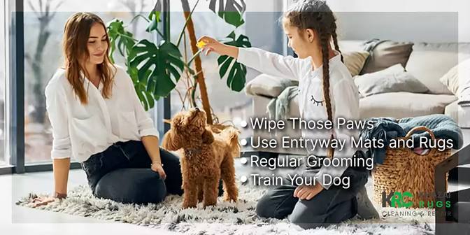 How to Keep a Rug Clean with Dogs - Tips and Tricks for Pet Owners