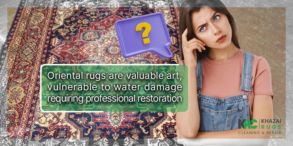 Oriental Rug Water Damage Restoration in Washington, DC