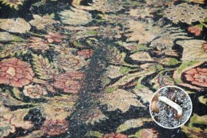 rug moths