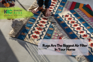 Rugs Are The Biggest Air Filter In Your Home|Rugs Are The Biggest Air Filter In Your Home