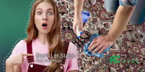 Area Rug Stain Removal: Our Experts Can Save Your Rugs - Khazai Rug Cleaning