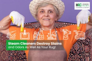 Steam Cleaners Destroy Stains and Odors As Well As Your Rug!|Steam Cleaners Destroy Stains|But does it work well on rugs as well?