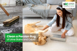 how to clean a persian rug of urine