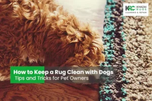 How to Keep a Rug Clean with Dogs - Tips and Tricks for Pet Owners|