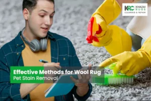 Effective Methods for Wool Rug Pet Stain Removal|