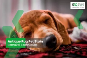 Antique Rug Pet Stain Removal Techniques|Preserving the Elegance: Antique Rug Pet Stain Removal Techniques