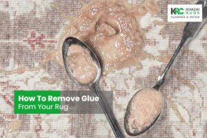 Rugs Are The Best Air Filters - Washington