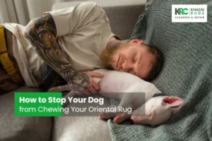 How to Find a rug cleaning company in Bethesda